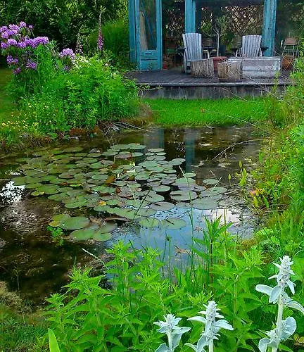 Gerlachus فندق مبيت وإفطار 3*