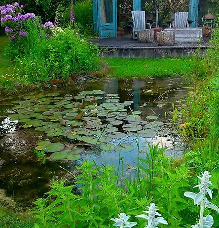 Gerlachus Bed & Breakfast 3*