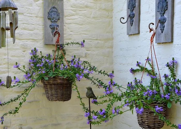 לינה וארוחת בוקר Gerlachus Valkenburg aan de Geul